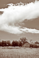 Old Barn, Sepia, FA