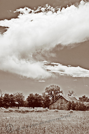 Old Barn, Sepia, FA