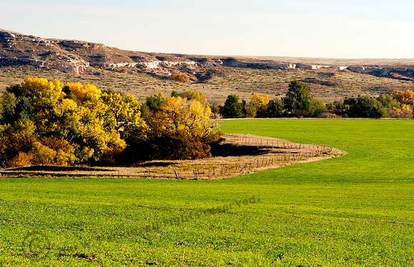 Fall Colors, Wolf Creek, FA