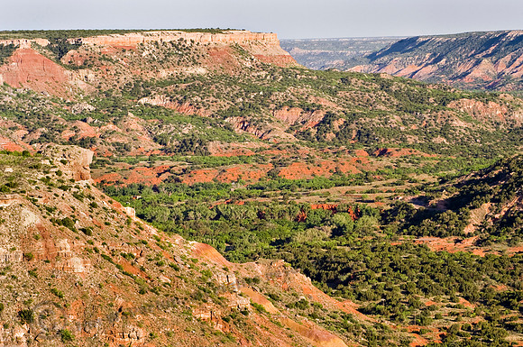 Palo Duro 261,FA