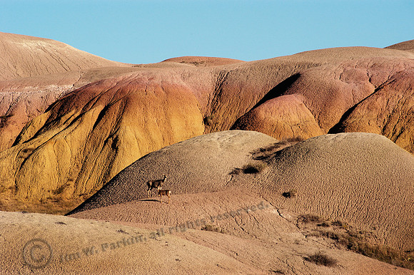 badlands 194, FA