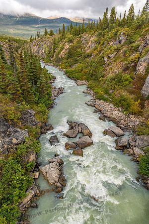 image-100845, fa,12