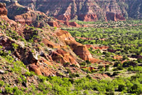 Palo Duro 220fa