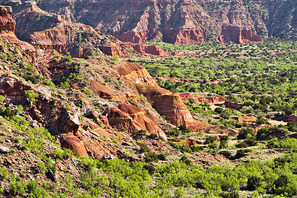 Palo Duro 220fa