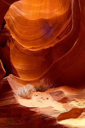 Slot Canyon, FA