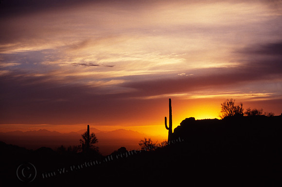 Desert Sunset, FA