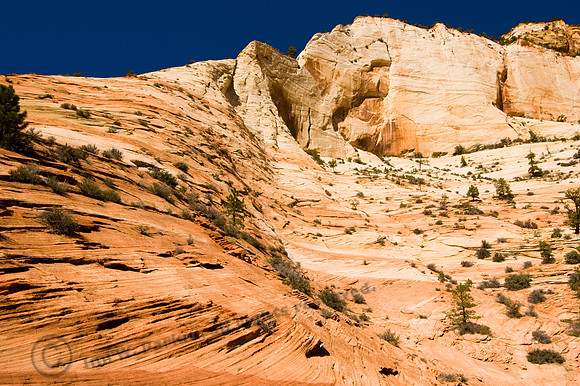 Zion, West, FA