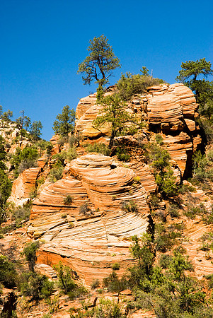 Staircase, Zion  West, FA