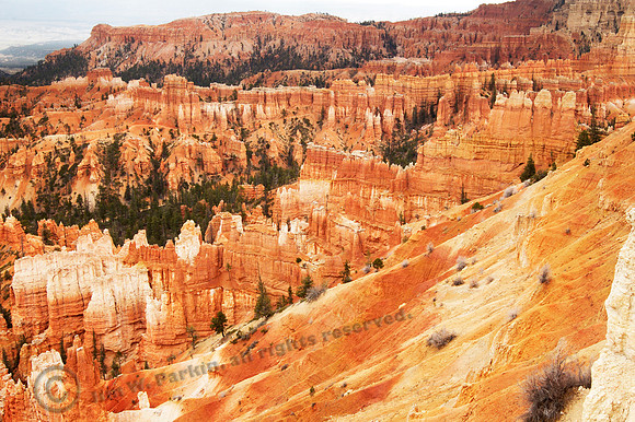 Bryce Canyon, FA
