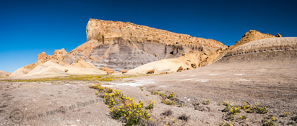 Smokey Mtn Road-90350-Pano