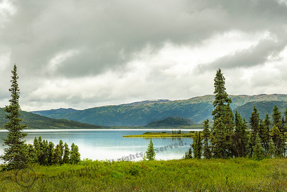 image-98681, fa,12