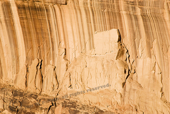 Image41196, FA