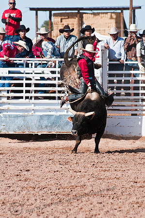 image58432, sub