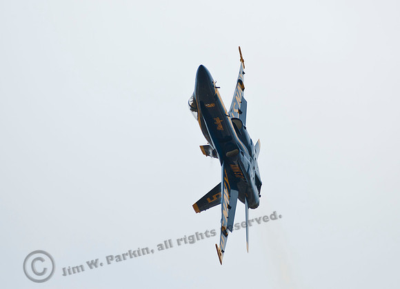 image77639