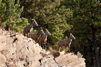 Black Hills of South Dakota
