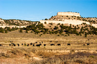 Texas Panhandle