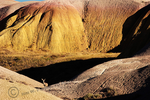 badlands 199, FA