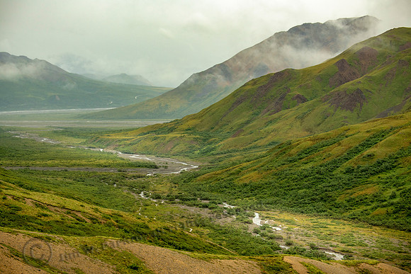 image-98612, fa, 12