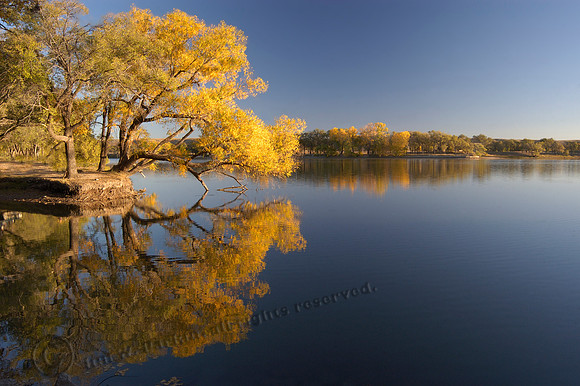 Lake Fryer, Fall Colors, FA