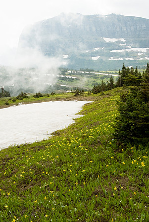 Image38147fa