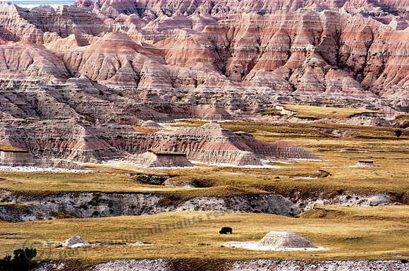 badlands 135, FA