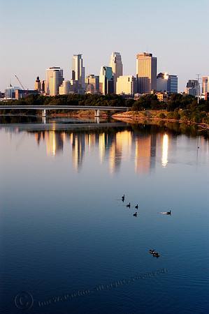 mpls206FA
